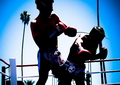 Phangan Muay Thai